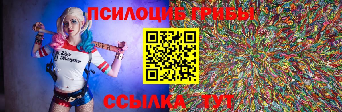 Псилоцибиновые грибы прущие грибы Серов