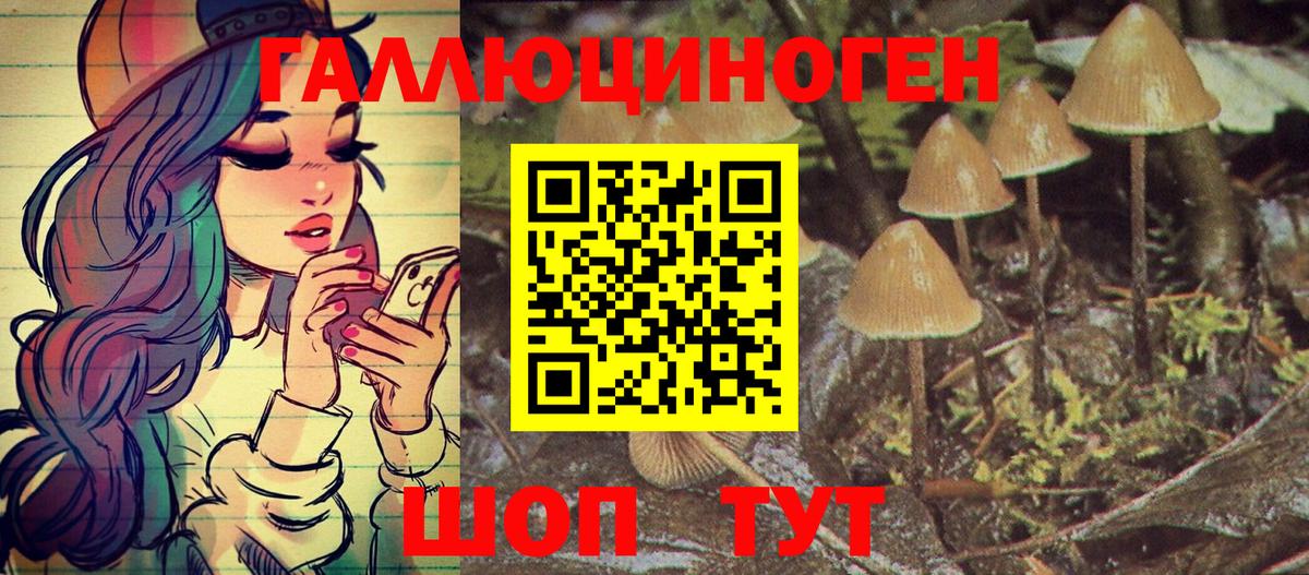 Серов  наркотики  Вход с VPN  Псилоцибиновые грибы GOLDEN TEACHER  Галлюциногенные грибы мицелий 